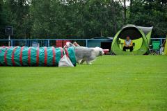 DSC_3462-kopie