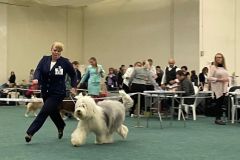 487825938_9822437827800563_1370842010009246681_n