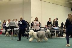 488745839_9822437934467219_5867239656401917978_n