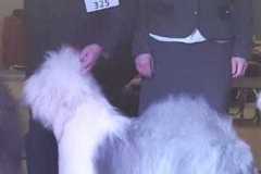 490371939_9879009565476722_4655166317333005925_n