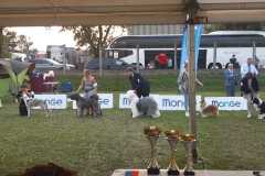 494347374_10018347458209598_7073434731612858902_n