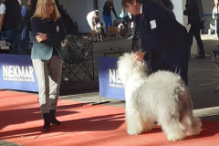 495335388_10099499830094360_4493486592925986567_n