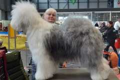 495380907_10095441097166900_5641978835903956255_n