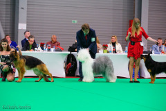 495748304_23864506539833789_8990663739850619382_n