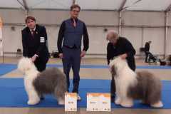 496000223_23864109563206820_3634328691355408245_n