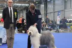 496118072_23881609468123496_2510980071131736796_n