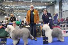 496946870_23883057737978669_664521357394570417_n