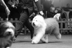 496948270_23896124946671948_3120458614051476975_n