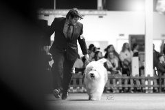 497209746_23896124710005305_1856883793149714324_n