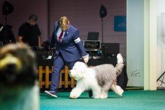 497427493_23896124780005298_5358803860900709054_n