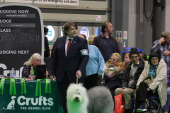 497444286_23901408686143574_1468224963898455951_n