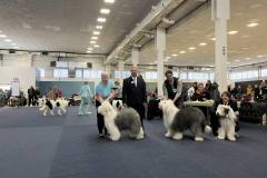 498158024_23896124773338632_2408153233597007681_n