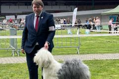 515620223_24290319007252538_4869884242061241981_n-1