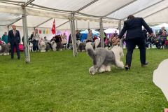 516468573_24348693868081718_8185136641287901996_n-1