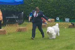 285496309_1194936058018905_7987443338141859187_n