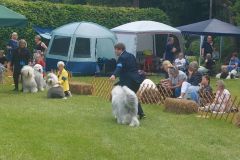 286115177_326108966363057_3825936568796075572_n