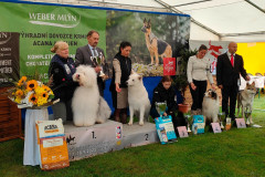 CACIB-Klatovy-BIG-I-scaled