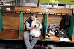 649152912_26442527348698349_20893884877887017_n