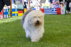 tierfotografieamhaff_F44A7056_L-max.-3000px_60f66378_