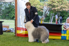 tierfotografieamhaff_F44A7166_L-max.-3000px_ee0b2f5a_