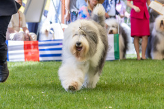 tierfotografieamhaff_F44A7216_L-max.-3000px_bab1347c_