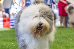 tierfotografieamhaff_F44A7220_L-max.-3000px_c8425dce_