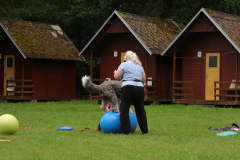 19