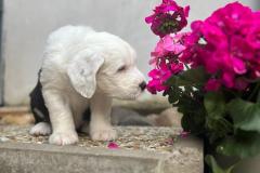 IMG-20230616-WA0018