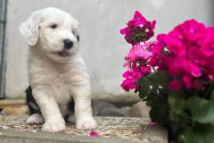 IMG-20230616-WA0020