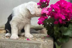 IMG-20230616-WA0022