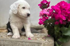 IMG-20230616-WA0024