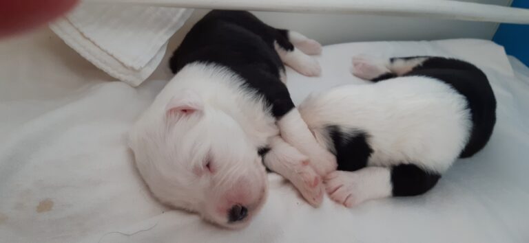 Spousta fotografií, co se do článků nevešlo :-)