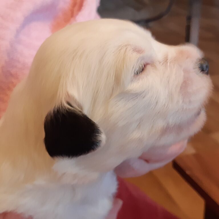 Spousta fotografií, co se do článků nevešlo :-)