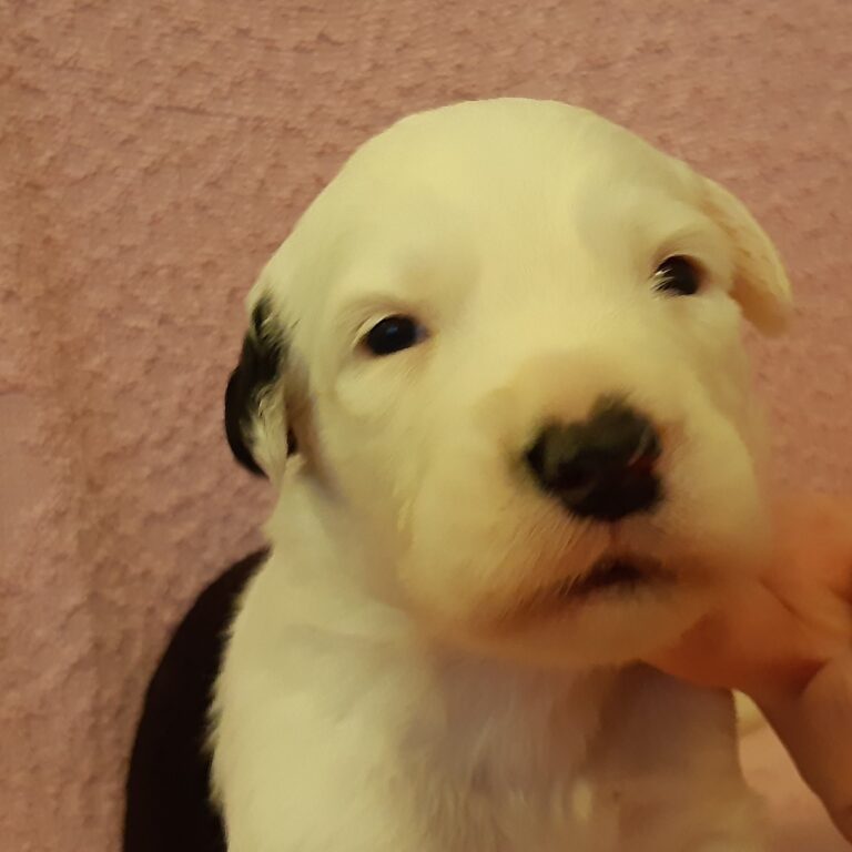 Spousta fotografií, co se do článků nevešlo :-)