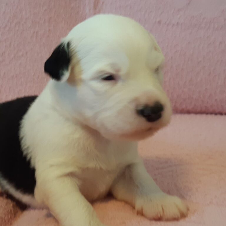 Spousta fotografií, co se do článků nevešlo :-)