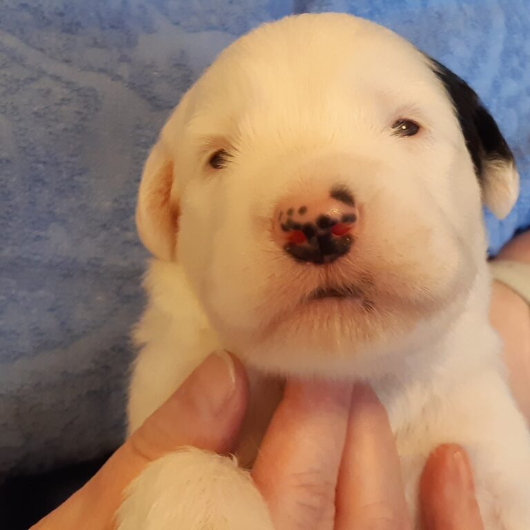 Spousta fotografií, co se do článků nevešlo :-)